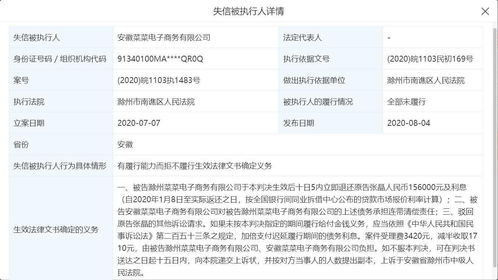 呆蘿卜關(guān)聯(lián)公司被列為失信被執(zhí)行人 商業(yè)咨詢(xún)服務(wù)的警示與反思